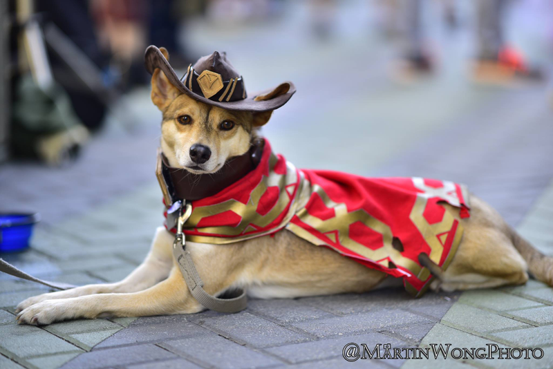 Cosplay by Unknown | Photo by Martin Wong